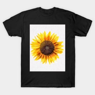 Large single bright Sunflower bloom T-Shirt